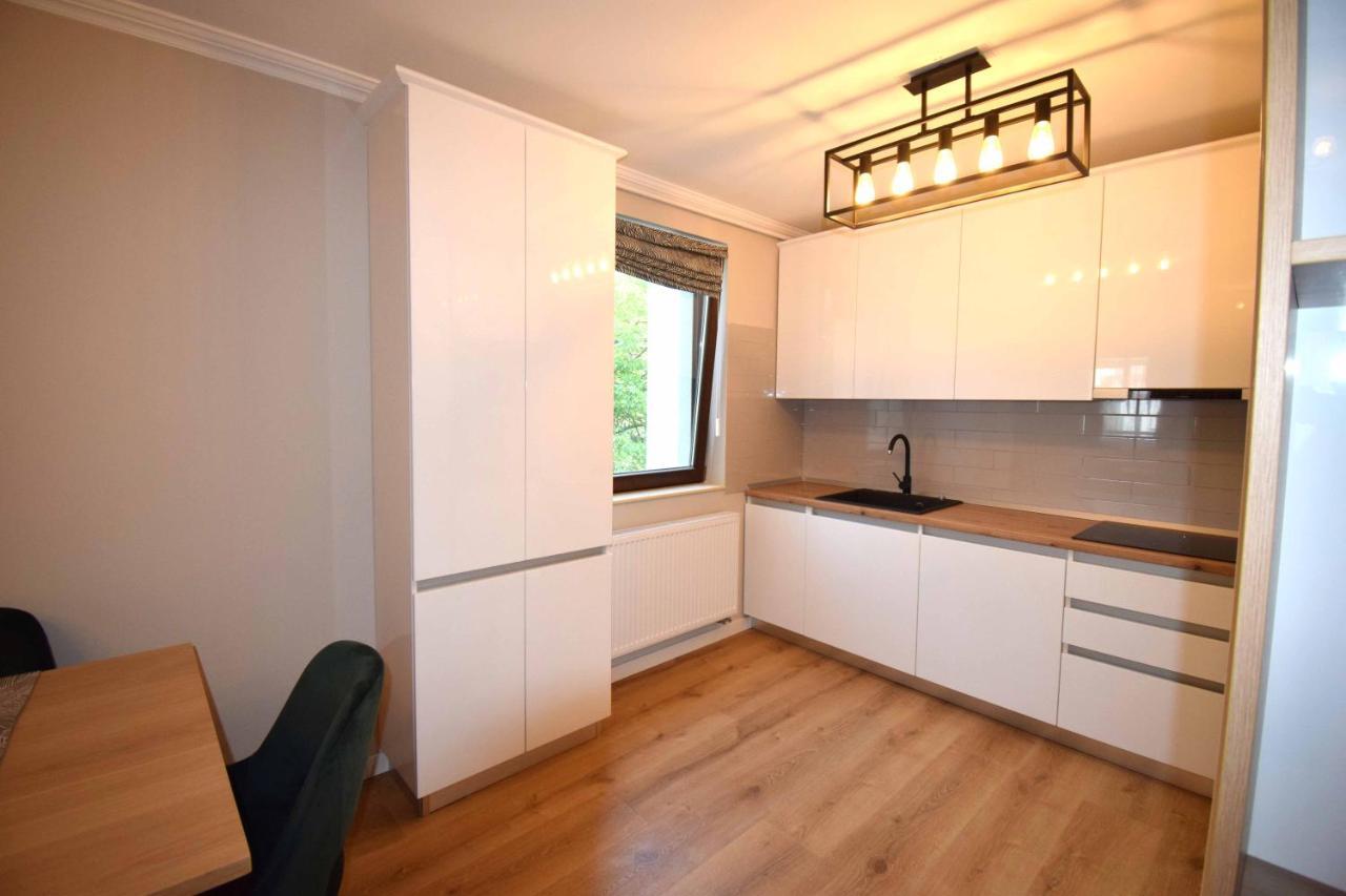 Luxury Apartment Central Târgu-Mureş エクステリア 写真